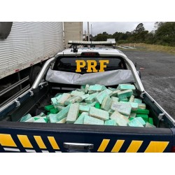 Em operação conjunta, PRF e PF apreendem quase meia tonelada de cocaína e pasta-base